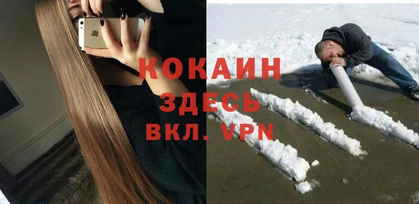 стафф Алексин