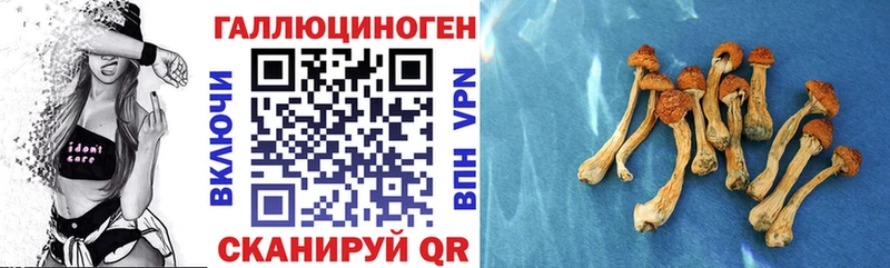 Галлюциногенные грибы прущие грибы  Чебоксары 